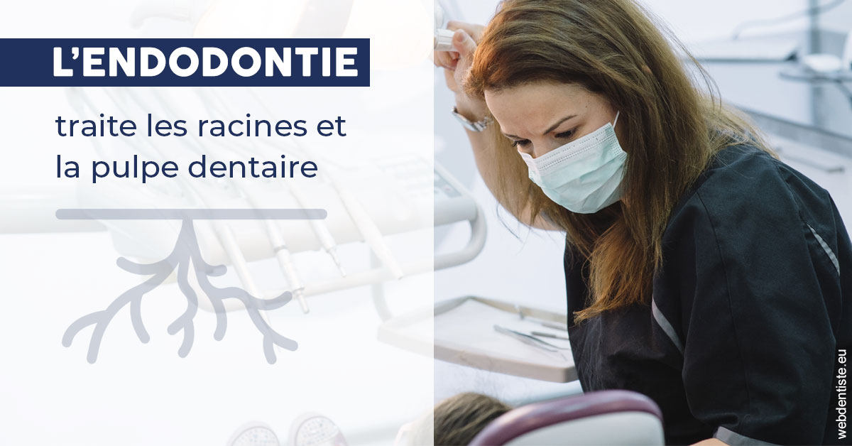 https://www.orthofalanga.fr/L'endodontie 1