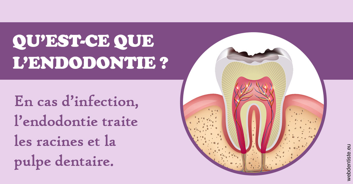 https://www.orthofalanga.fr/2024 T1 - Endodontie 02