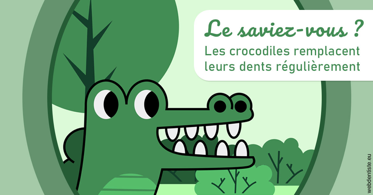 https://www.orthofalanga.fr/Crocodiles 2