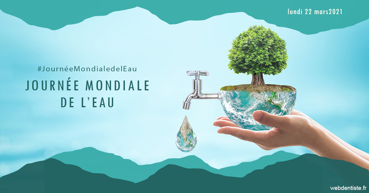 https://www.orthofalanga.fr/Journée de l'eau 1