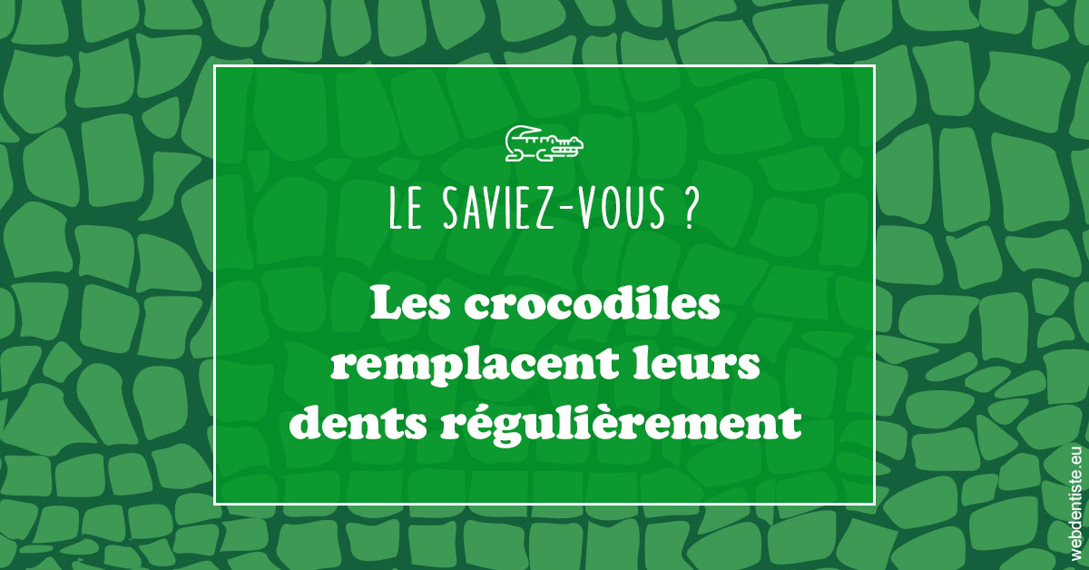 https://www.orthofalanga.fr/Crocodiles 1